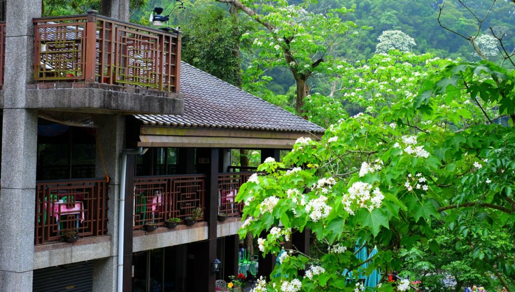 跟著攝影師一起旅行Lion's head mountain resting area