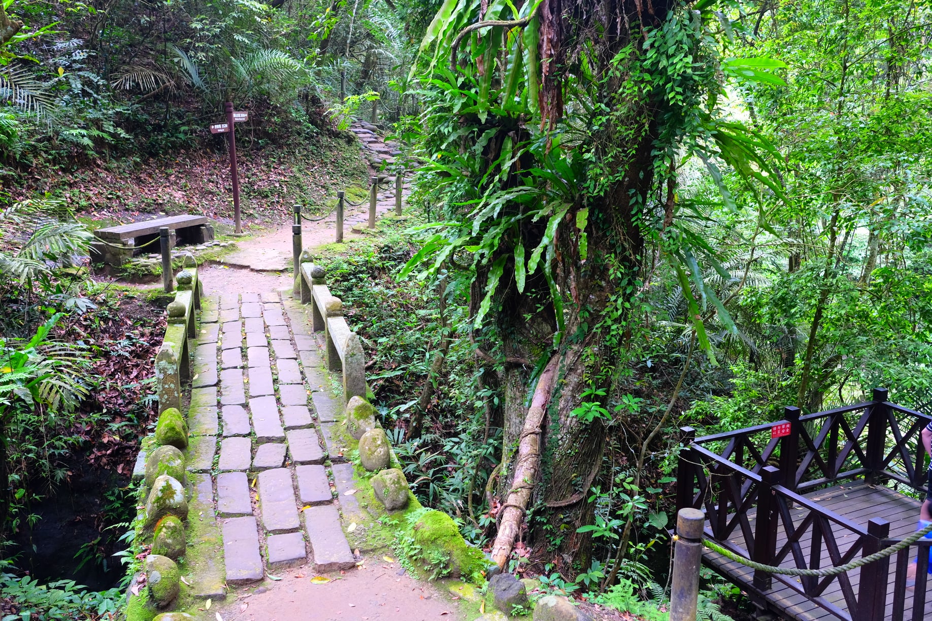 跟著攝影師一起旅行