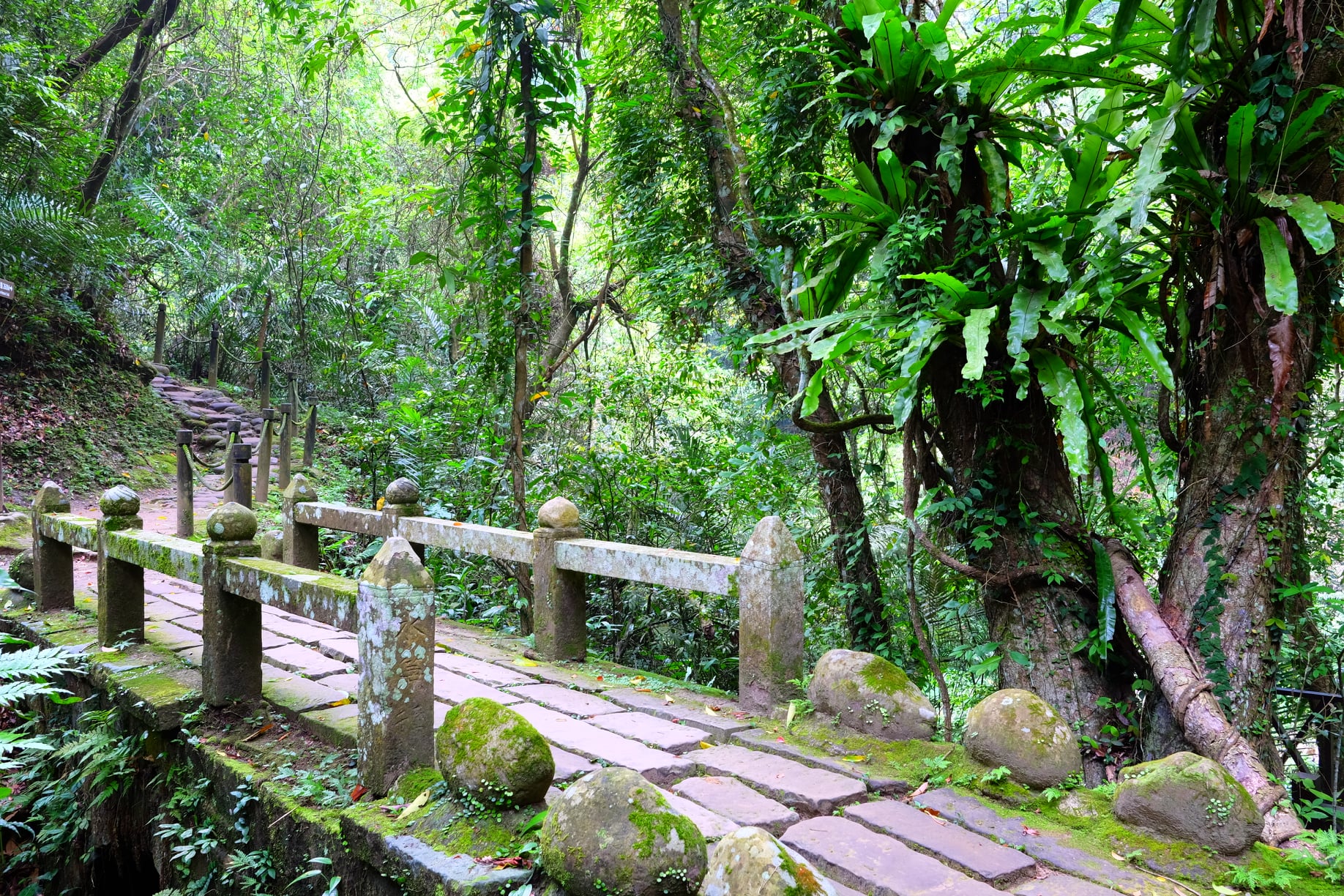 跟著攝影師一起旅行